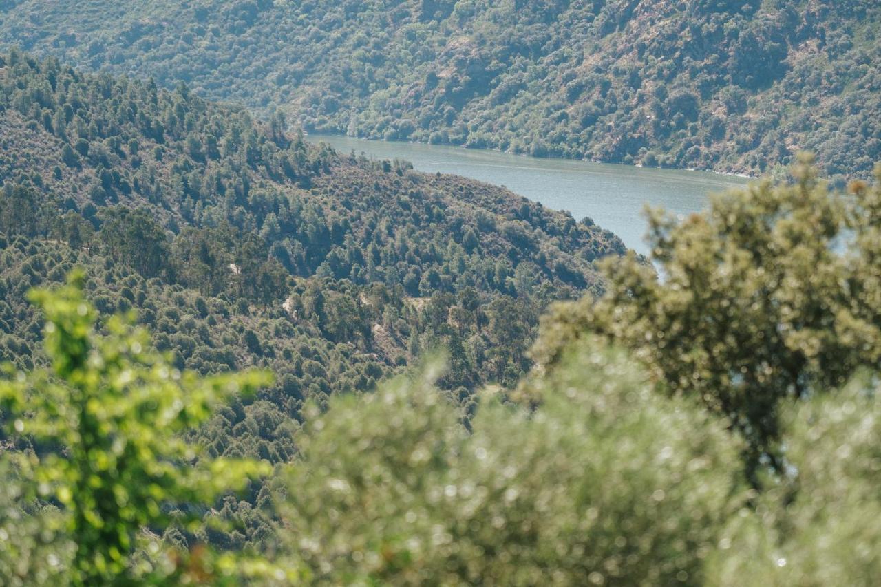 Bemposta  Casa Das Arribas - Rio Douro Aos Seus Pes מראה חיצוני תמונה